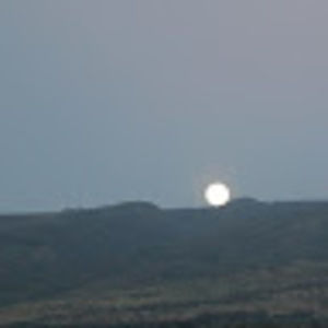 Meet your Posher, Margaret